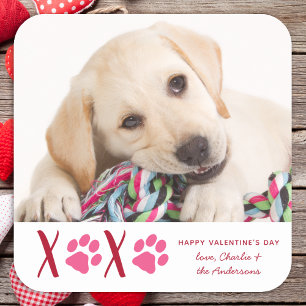 Valentijnsdag XOXO Cute Pet Puppy Dog Foto Vierkante Sticker