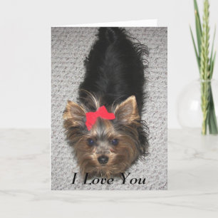 Valentijnsdag- Yorkie Ik hou van je Feestdagen Kaart
