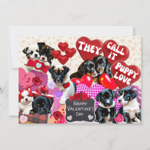 Valentijnsdag Ze noemen het puppy liefde Feestdagenkaart