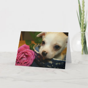 Valentijnse Baby Liefde Card Chihuahua Puppy Roos Feestdagen Kaart
