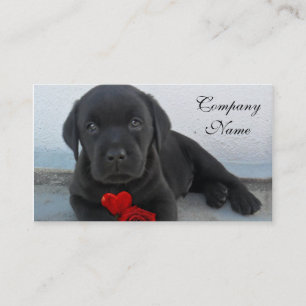 Valentijnse labrador puppy visitekaartje