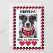 Valentijnskaart met eigen foto van de hond feestdagenkaart (Voorkant)