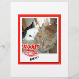 Valentijnskaarten Tabby katten Flyer
