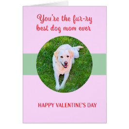 Valentine Beste Hond Moeder Liefde Cute