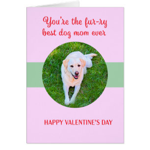 Valentine Beste Hond Moeder Liefde Cute