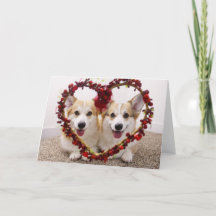 Valentine Corgis Wenskaart & Enveloppen