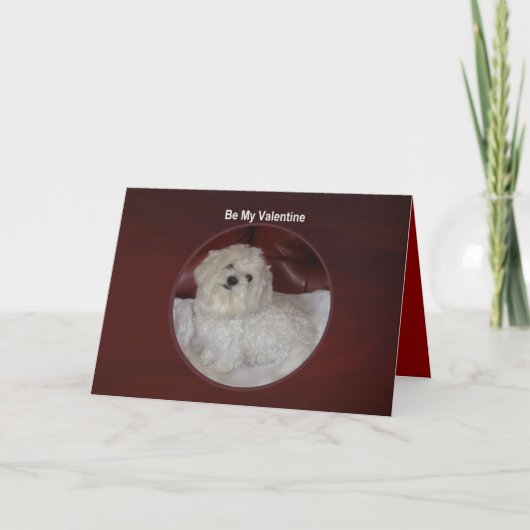 Valentine maltais - vous avez ma carte de coeur (Devant)