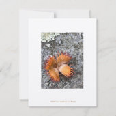 Valentine, Rustique, cœur fait main, Carte à plat (Dos)