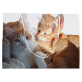 Valentine's Cats Photo Groot Cadeauzakje (Achterkant)