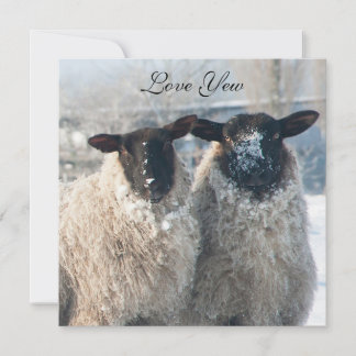 Valentine's Day Card Kaart