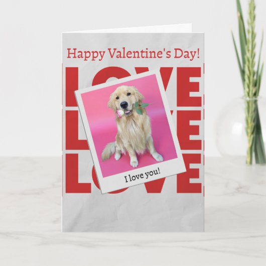 Valentine's Day card with dog Kaart (Voorkant)