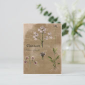  Valerian Herb Plant Post Card Briefkaart (Staand voorkant)