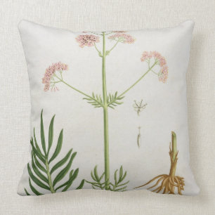 Valerian van 'Phytographie Medicale' door Joseph R Kussen