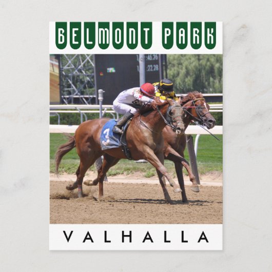 Valhalla Briefkaart (Voorkant)