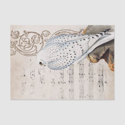  valk Bird Music Scroll Vines Parchment Tissuepapier (Voorkant)