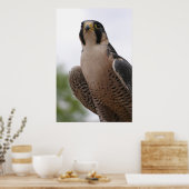 valk poster (Keuken)