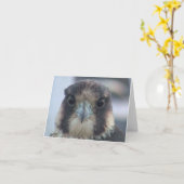 Valkbriefkaart Kaart (Gele Bloem)