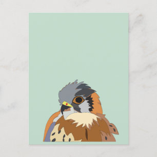 valkenvogelvalk briefkaart