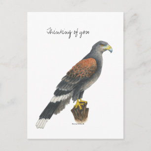 Valkkaart uit de Collectie Briefkaart