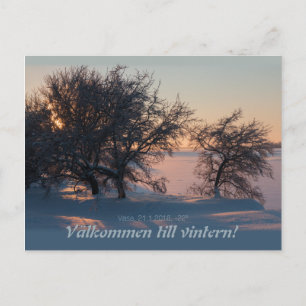 Välkommen tot stagiair. Vasa Vaasa Finland CC0828 Briefkaart