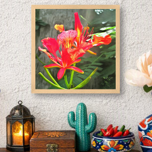 Vallarta Vlammende Schoonheid Tropische Bloemen 15 Poster