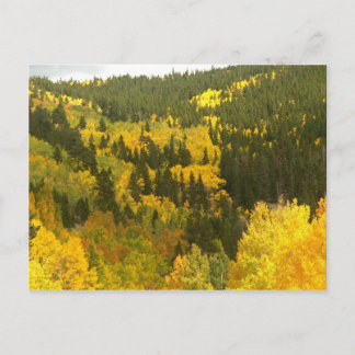 Valle kleuren in Colorado, Aspen Gold Briefkaart