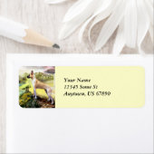 Vallée de la Grande Dane à Zeus Étiquettes (En situation)