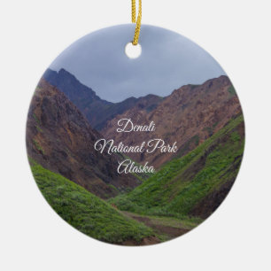 Vallei bij Denali's Toklat River Ornament Souvenir