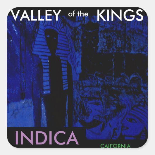 VALLEI VAN DE KONINGEN INDICA VIERKANTE STICKER (Voorkant)