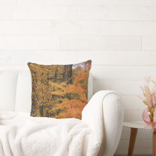  valleien Tulp Poplar omkeerbare pilaar Kussen