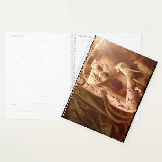 Vallen Delicate Experimenten Planner (Display)