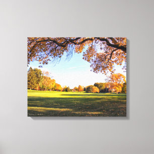 Vallen voor Iowa Canvas Print