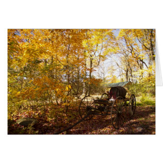 Vallers met wagon