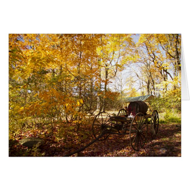 Vallers met wagon (Voorkant Horizontaal)