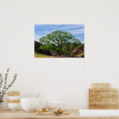 Valley Oak Tree Poster (Keuken)