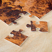 Valley of Fire Nevada. Legpuzzel (Zijkant)