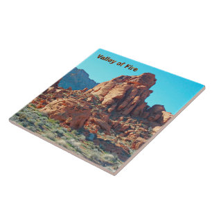 Valley of Fire State Park Tegeltje