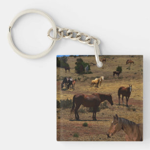 Valley of the Horses, Sleutelhanger
