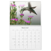 Valley Vision's Kalender (Mar 2027)