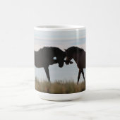 Valor & Honor ~ Son & Sire Wild Mustang Mok (Center)