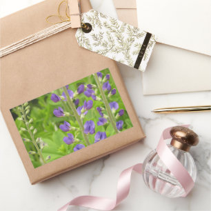 Valse Indigo (Baptisia australis) Rechthoekige Sticker