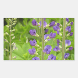 Valse Indigo (Baptisia australis) Rechthoekige Sticker