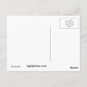 valse kiva briefkaart (Achterkant)