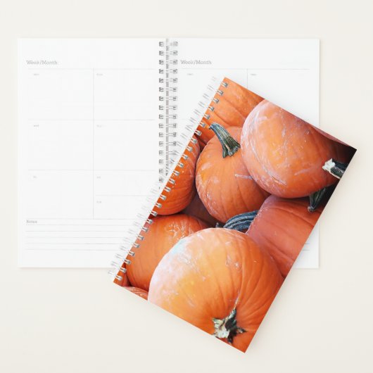 Valse pompoenstapel planner (Display)