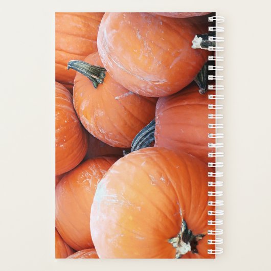 Valse pompoenstapel planner (Achterkant)