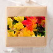 Valsmakelbladeren op de grond etiket (Insitu)