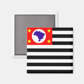 Valsymbool van Sao Paulo Magneet (Voorkant / Achterkant)