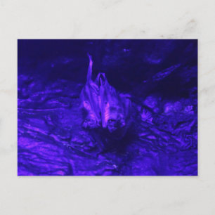 Vampire Bat Briefkaart