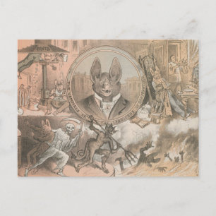 Vampire Bat Portrait Briefkaart
