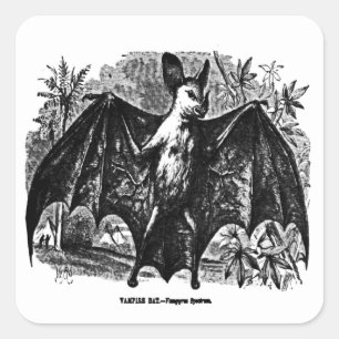 Vampire Bat Sticker
